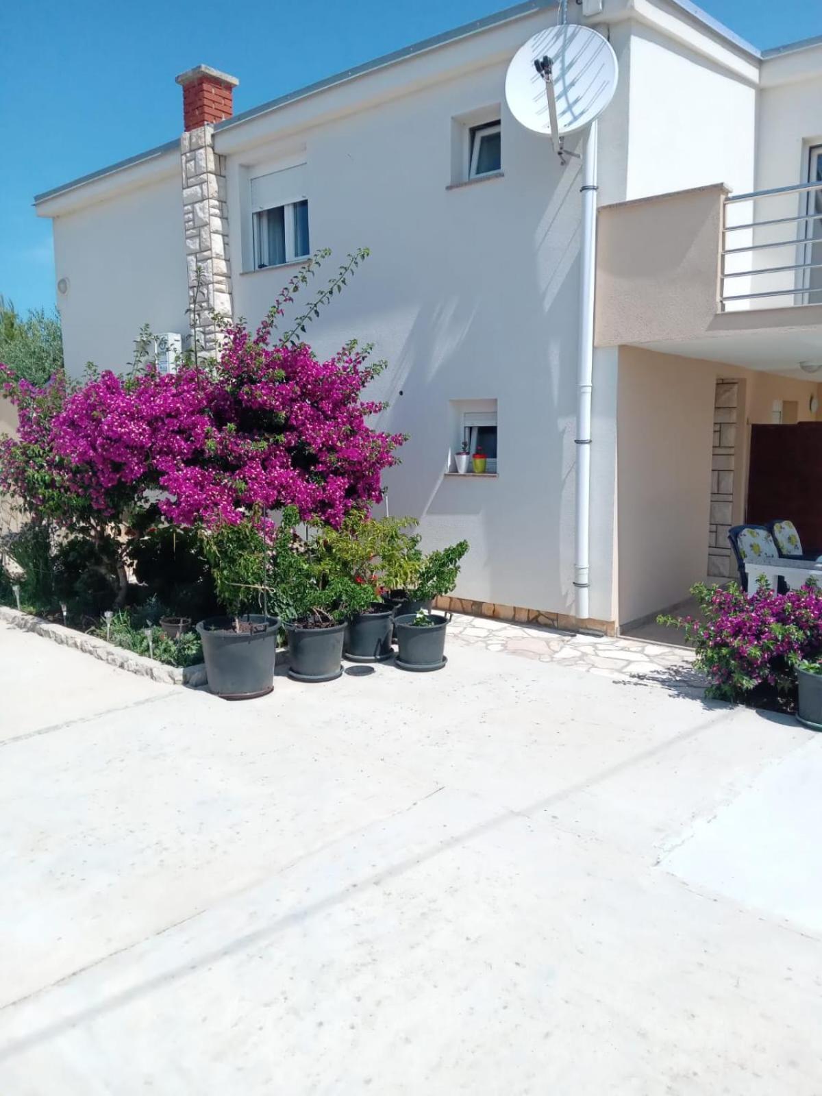 Apartments Bimi Vir Esterno foto